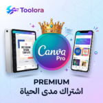 canva-pro-1-year-deal