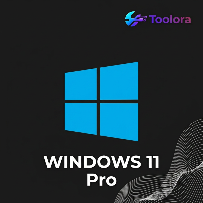 Windows 11 Pro